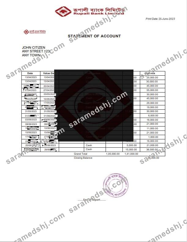 India Rupali Limited bank statement template, Word and PDF format